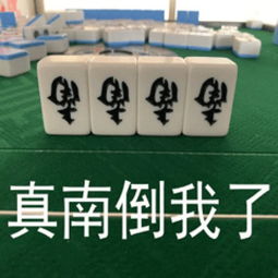 不一样的我太难了表情包,超搞笑,存起来斗图吧