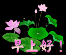 同学们早上好表情包合集
