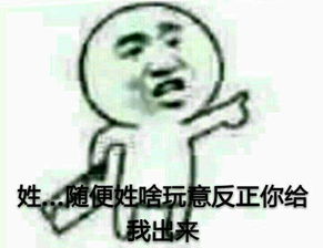 求这一类的表情包求其他姓氏的在线等啊