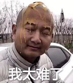 我太难了表情包合集