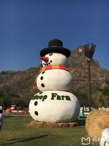 萨瓦迪卡之好吃好玩曼谷华欣6日休闲之旅...