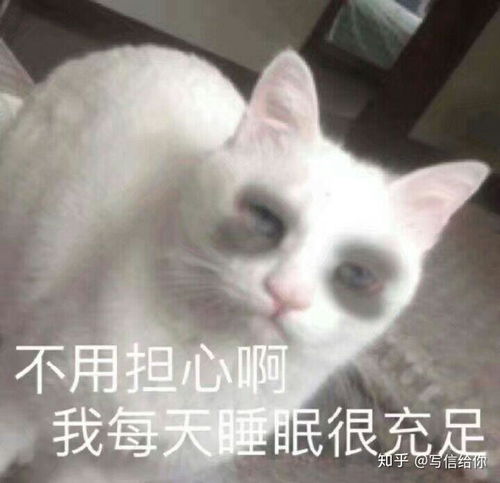 为什么女生和有些男生聊天,男生不喜欢女生用搞笑的表情包呢