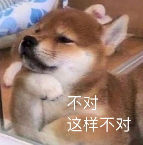 影视沙雕搞笑表情包大全