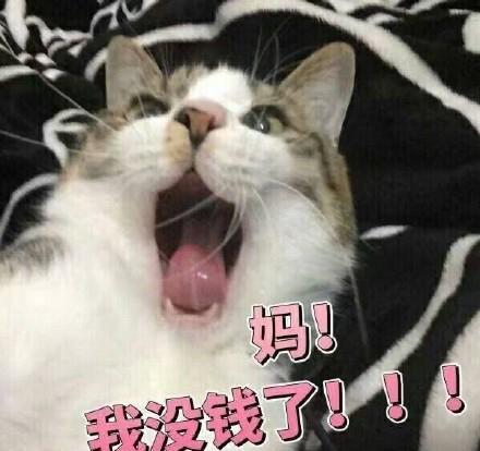 搞笑图片一个三岁小男孩拉着一个三岁小女孩的手说