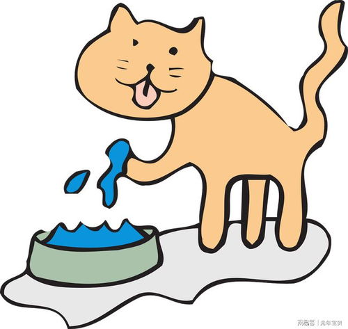 猫咪明明怕水,为啥还会把爪子伸进水碗
