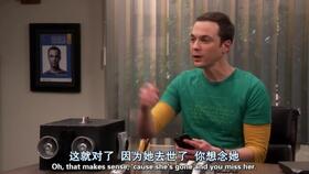 生活大爆炸谢尔顿表情练习,闲时练,总会用的到