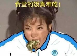还珠格格18年除了暑期荧屏,他们还统领了表情包江湖