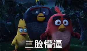 愤怒的小鸟表情包愤怒的小鸟电影来啦