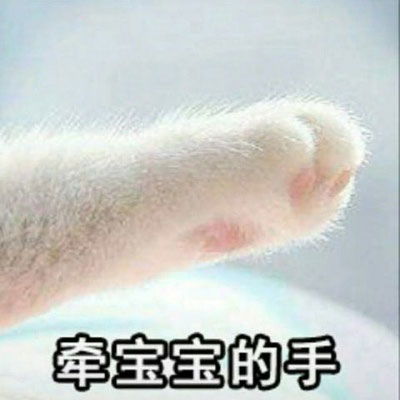 搞笑情头一对两张逗比逗比专属搞怪微信情侣头像