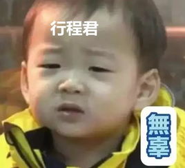 刘亦菲宋承宪之后,又一对中韩情侣分手了然而韩网友的评论太扎心了
