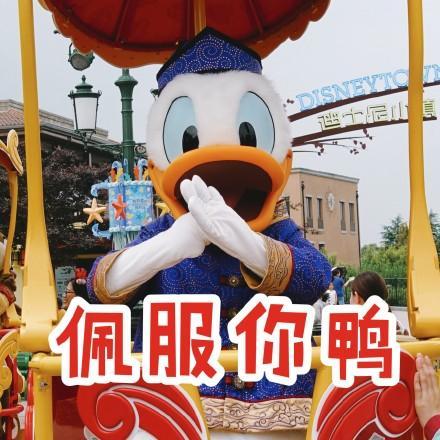 唐老鸭表情包大全54p