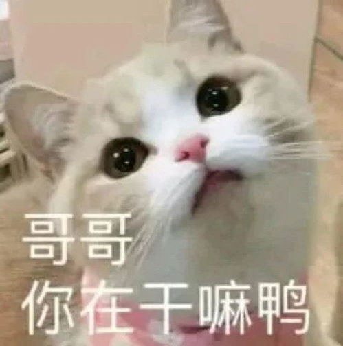 搞笑表情包图片你好好笑哦,我好着呢,别担心