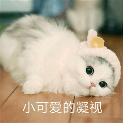 雅思考试