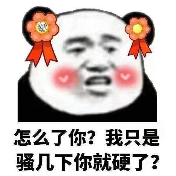 2022.4.07更新超逗超搞笑熊猫头表情包