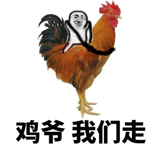 幽默笑话,我穿这件衣服会不会显得很胖
