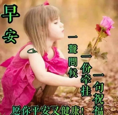 微信早上好动态表情图片大全集特别漂亮的早上好图片