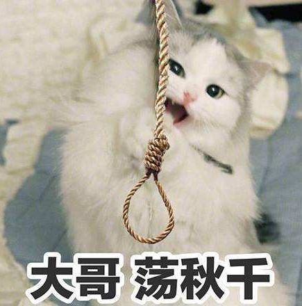 幽默笑话,我和男友相处了两星期就分手了