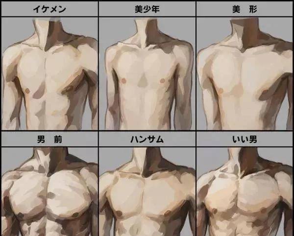 cg原画插画教程男士肌肉绘画素材参考