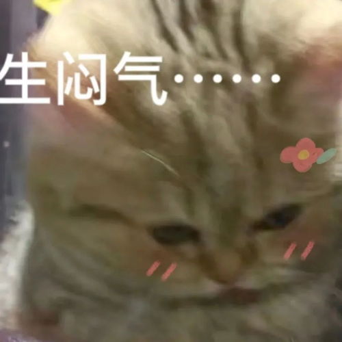 搞笑表情包来咯