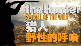 新地图银领峰油管直播20200617