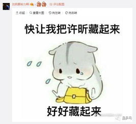 许昕微博卖萌,大宝贝丁宁带粉丝发表情祝生日快乐