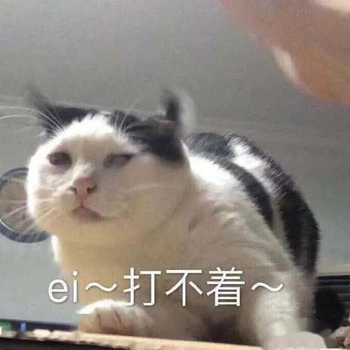 沙雕表情没有困难的工作,只有勇敢的打工人