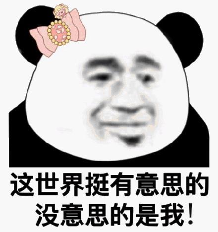 爆笑故事大学生靠遛狗赚钱,没想到有人比他更聪明,直呼内行