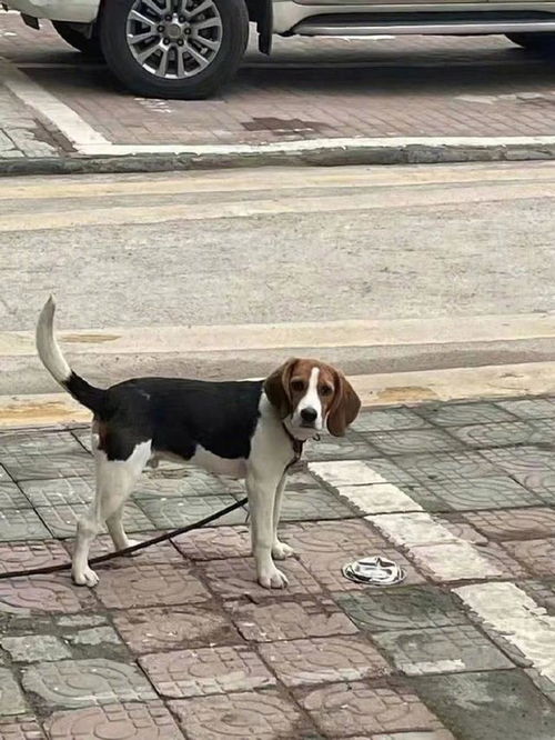 你有哪些让人笑到肚子疼的搞笑图片2