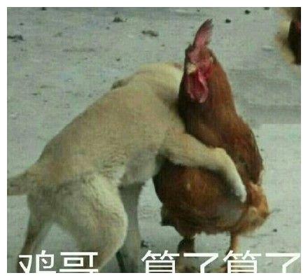 爆笑段子我买了包糖,给我们学校每人送了一颗
