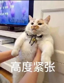 滚出克最新热门搞笑表情包今天是非常生气的一天