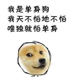 有趣表情包我凭实力叫单身狗,有些话有必要说一说