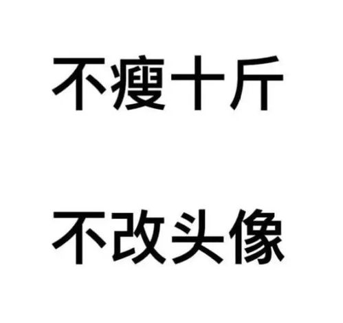 头像篇你千万不要放在心上