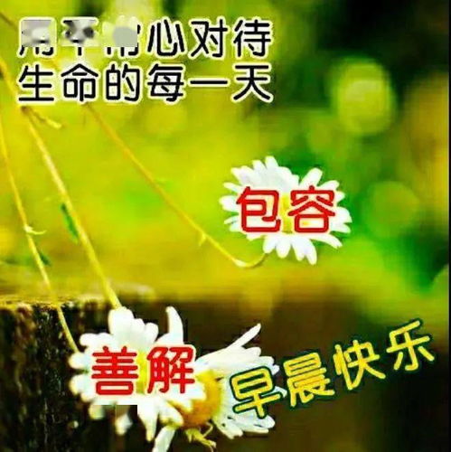 聊天不用打字的问候表情图片,心情漂亮如花,早安舒心愉快