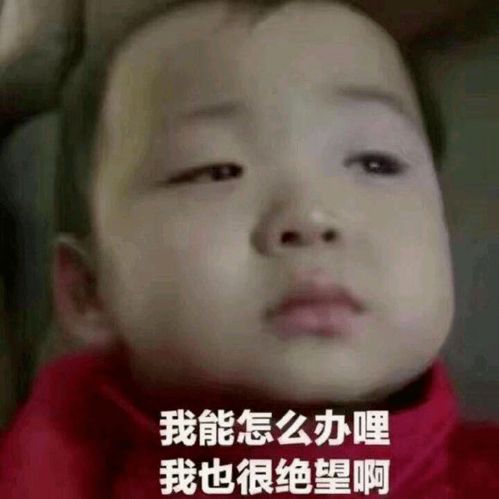 必须曝光文昌街一老板太豪横