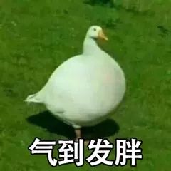 事发张家口一公园69岁男子拿钳子砸伤8人孩子老人都不放过