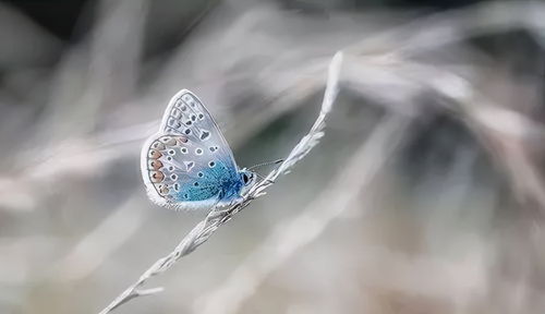 打麻将的这四个表现,就是你输牌的原因