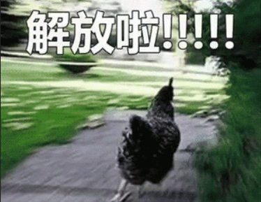 高考结束陕西一大波网红景点就地免票,带上准考证去逛吧