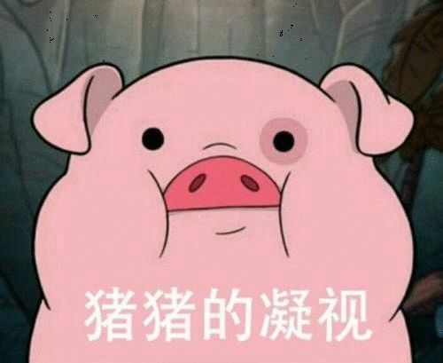 拍案猪肉荣的陨落