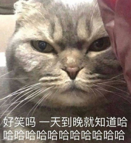 日月当空空竹篇终