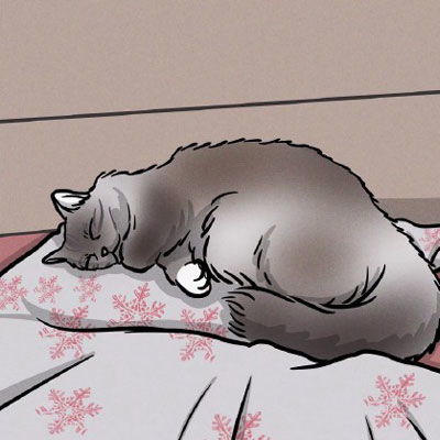 呆萌猫咪图片卡通头像漂亮猫咪图片大全可爱