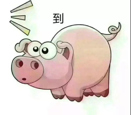 各种搞笑表情包大全集下载猪猪