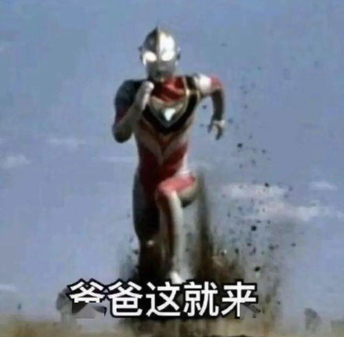 沙雕表情包丨我偏要杠