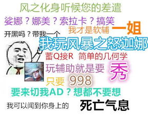 lol搞笑表情包开黑吗