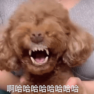 聊天斗图表情包丨累成憨批
