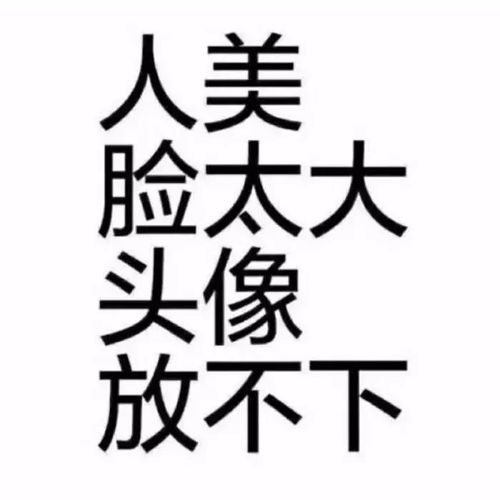 头像合集萌宠头像,情侣头像,沙雕头像,文字头像,动漫头像