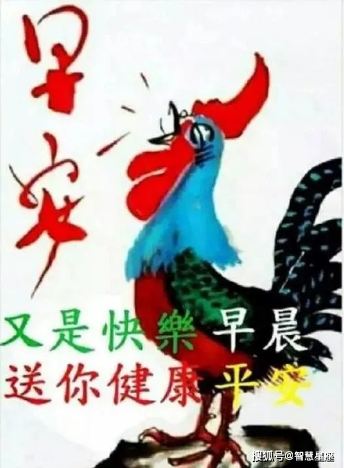 5月21日微信朋友圈最新发布早安祝福句子早上好问候语图片动态表情