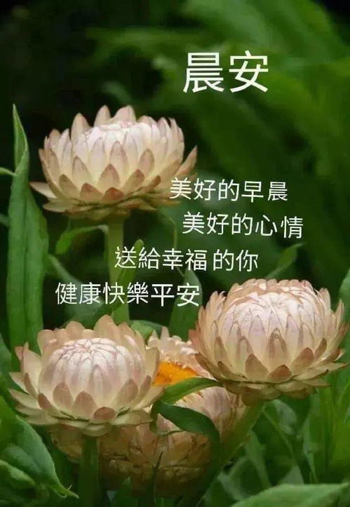 周六早上好问候表情动态图片,清晨送你好看幽默的早上好图片