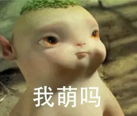 烧脑情报串济南动物园的猴子说悄悄话,都说啥呢