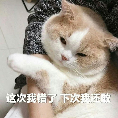 搜刮到的热门搞笑表情包大全