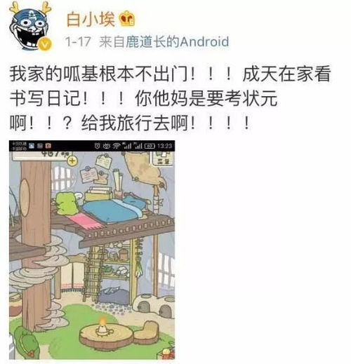 刷爆朋友圈佛系养蛙让你提前30年体验当老母亲的心境